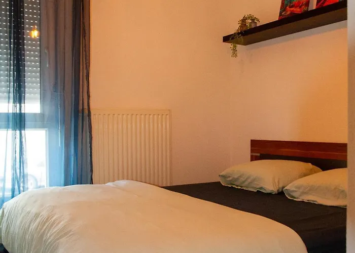 Entire For Rent Appartamento *