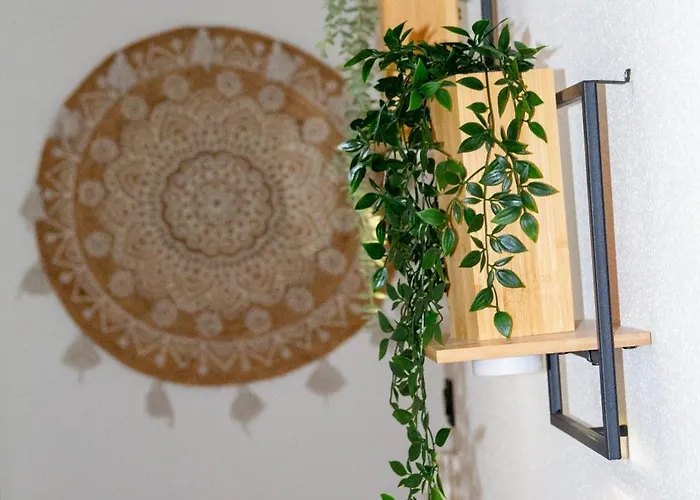 Entire For Rent Appartamento