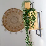Entire For Rent Apartment